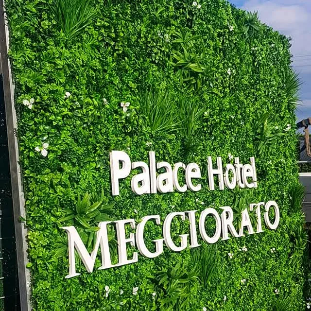 Lettere Palace Hotel MEGGIORATO su una parete verde
